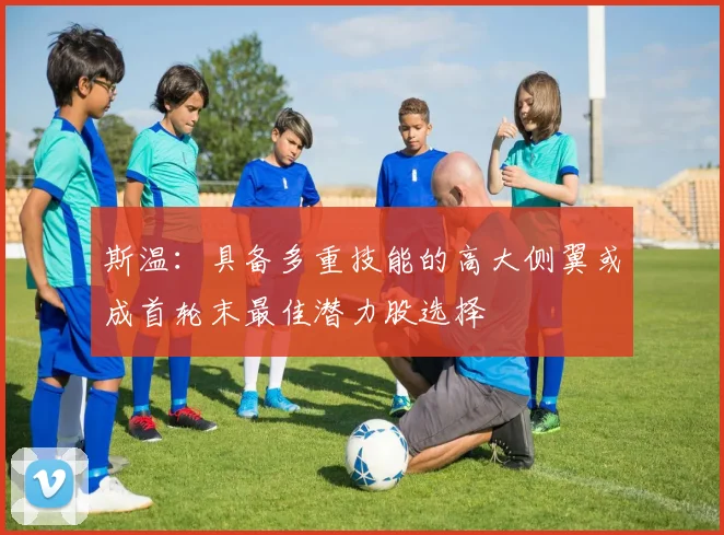 斯温：具备多重技能的高大侧翼或成首轮末最佳潜力股选择